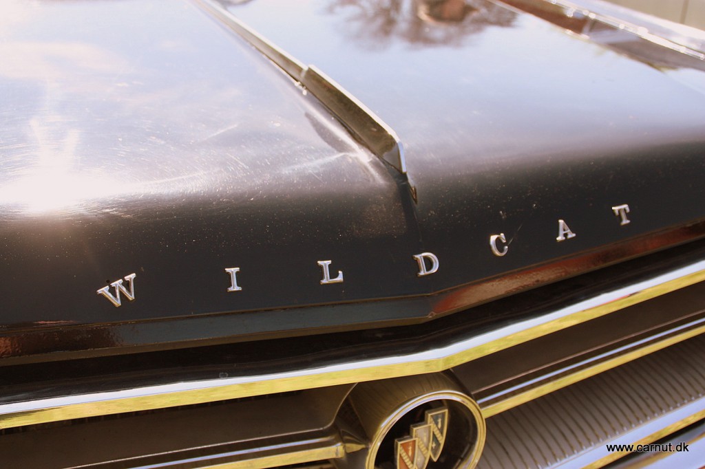 Buick Wildcat som har været i slagsmål ?