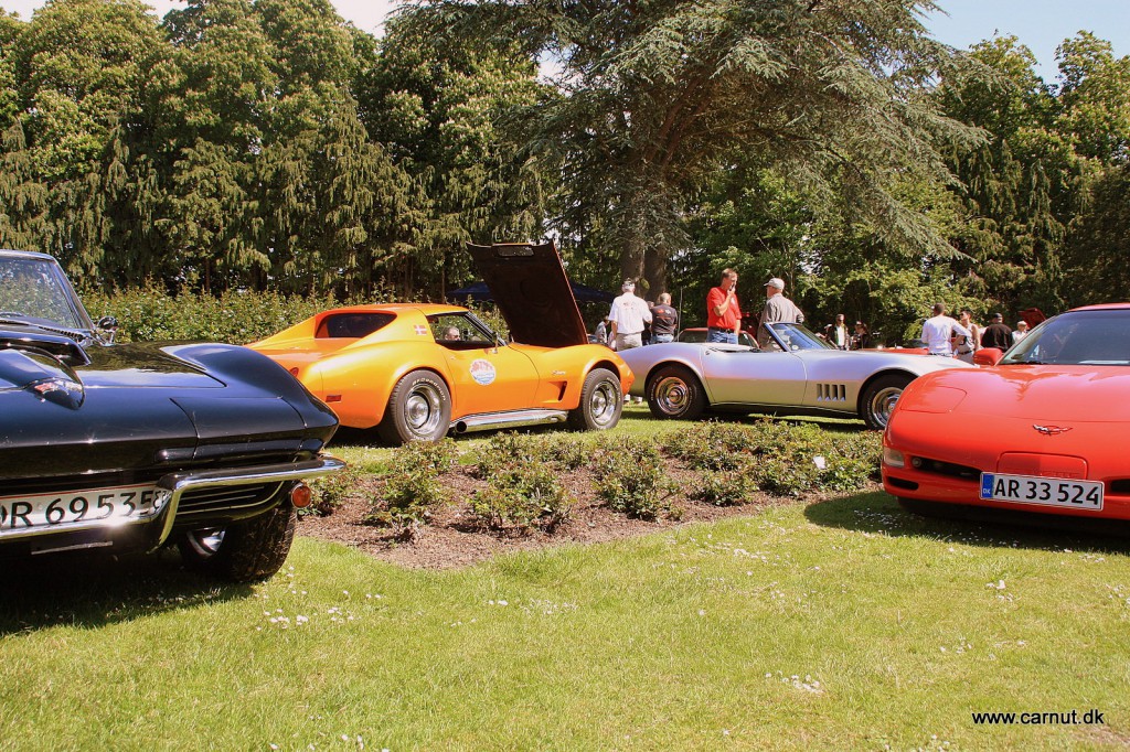 Corvette klubben var repræsenteret med omkring 15 biler