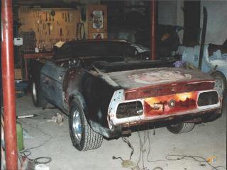 rearshot.jpg